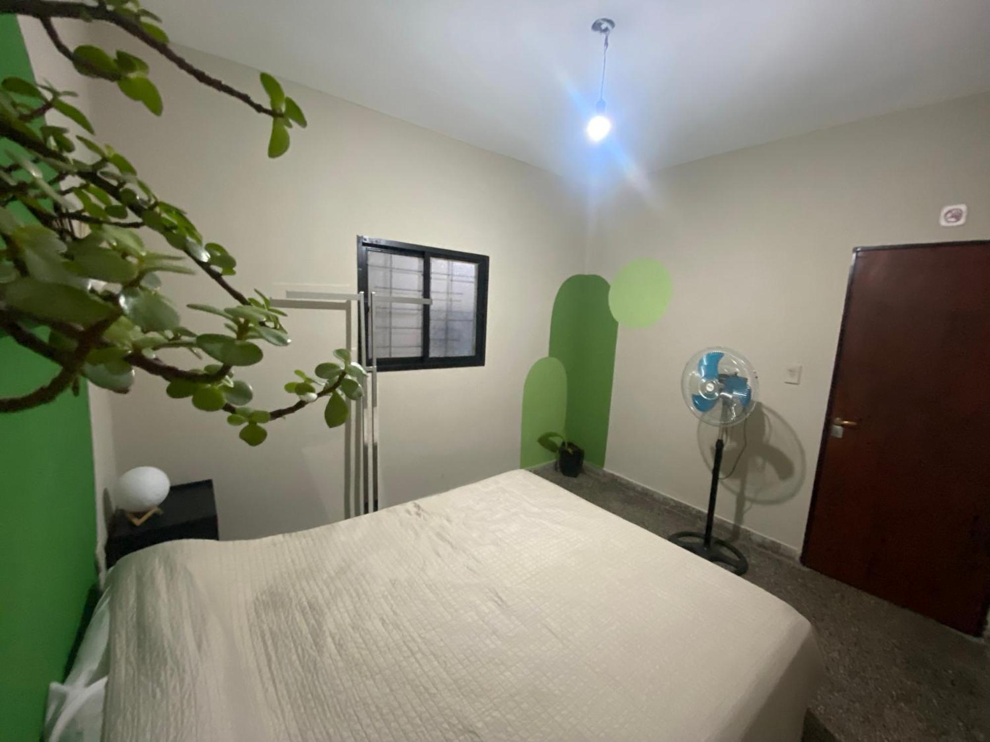 Urban Jungle Hostel San Miguel de Tucuman Exterior photo